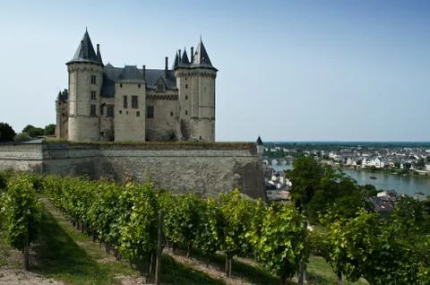 Saumur castle Fotos Stock