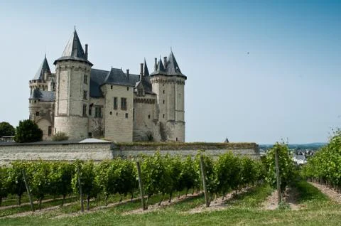 Saumur castle Stock Photos