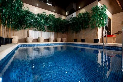 Sauna pool. Small pool with few potted plants surrounding it Stock Photos
