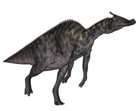 Saurolophus dinosaur - 3D render Stock Illustration