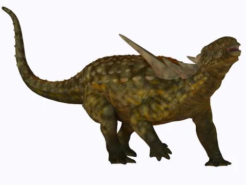Sauropelta on white Illustrazione stock