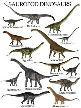 Sauropod dinosaurs set - 3D render Stock Illustration