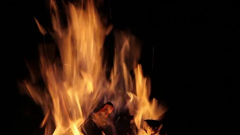 Sausage on bonfire at night 库存影片 84757621