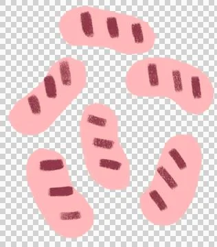 Sausage breakfast food set elements hand drawn doodle minimal style pastel co Stock Illustration