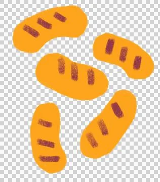 Sausage breakfast food set elements hand drawn doodle minimal style pastel co Stock Illustration