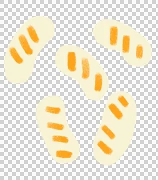 Sausage breakfast food set elements hand drawn doodle minimal style pastel co 스톡 일러스트