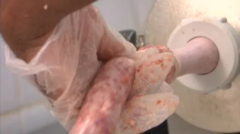 Sausage 库存影片 855093