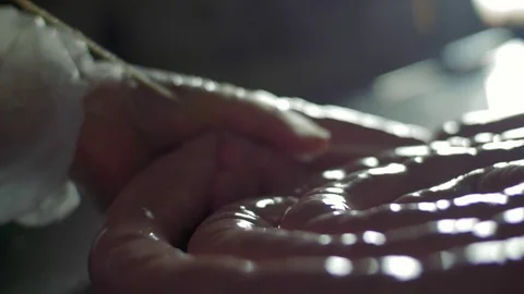 Sausage handmade Stock Footage 83907012