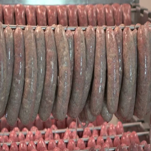 Sausage hanging in the warehouse Vidéo 69385285