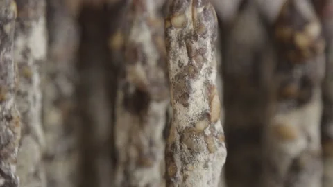 Sausage with mold Stock Footage 146678253