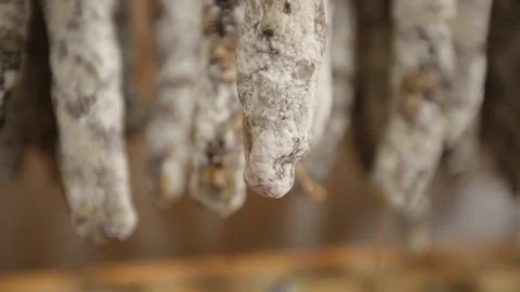 Sausage with mold Stock Footage 146679469