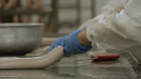 Sausage production concept Vídeo Stock 219284884