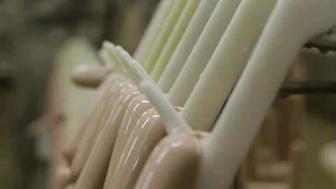 Sausage production concept Vídeo Stock 219580788