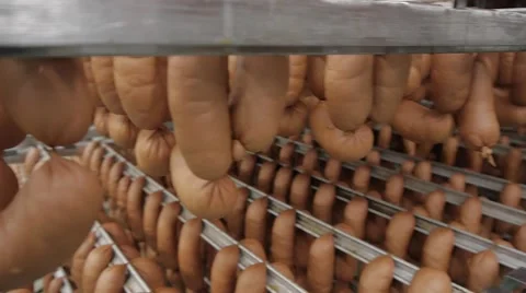 Sausage production Stock Footage 43605820