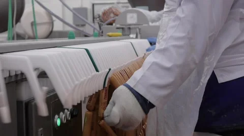Sausage production Stock Footage 43885262