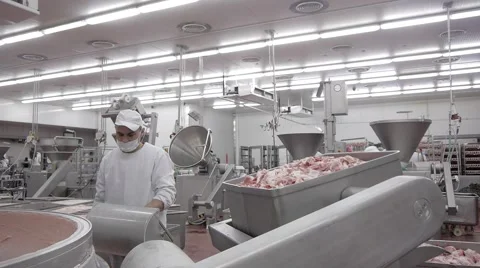 Sausage production Stock Footage 43885543