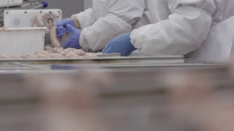 Sausage production Stock Footage 43885772