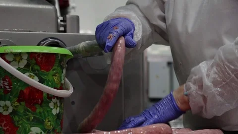Sausage production in the workshop Stock Footage 98741255