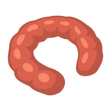 Sausage ring. Vector color vector illustration. Icon isolated イラスト素材