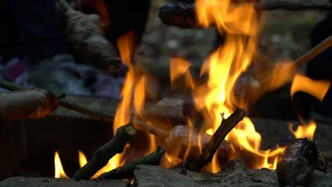 Sausages are burning in to the fire flames 스톡 동영상 81756869