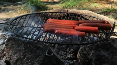 Sausages Stock Footage 27844391