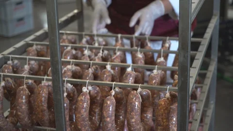 Sausages hanging on a  rack at meat processing factory Stock Footage 124305145