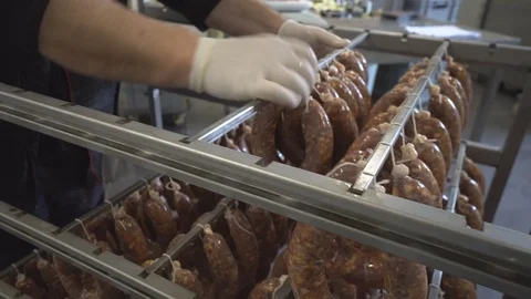 Sausages hanging on a  rack at meat processing factory Stock Footage 124306175