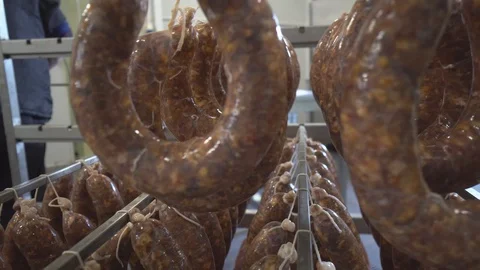 Sausages hanging on a  rack at meat processing factory Stock Footage 124323724