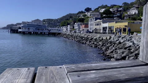 SAUSALITO WATERFRONT Stock Footage 199819440