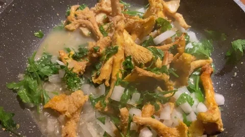 Sautéed chanterelles, Les Cévennes Stock Footage 345361053