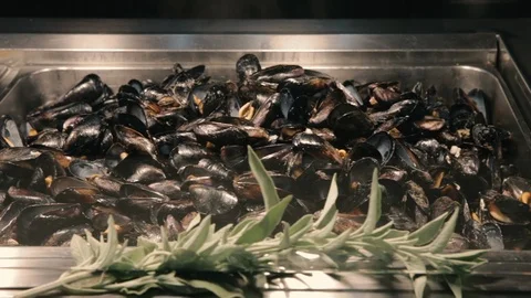 Sautéed mussels tray Stock Footage 86737185
