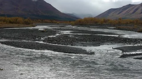 Savage River Braided Channels Stock Footage 9056936