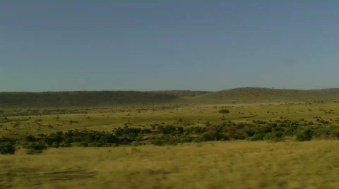 Savana drive P2 Stock Footage 877205