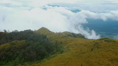Savana Mountain Drone Stock Footage 169499526