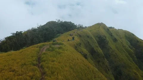 Savana view Drone Stock Footage 169500034