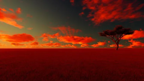 Savanna 库存影片 249743772