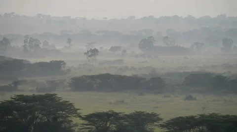 Savanna in a morning fog, Queen Elizabeth National Park, Uganda, Africa. Stock Footage