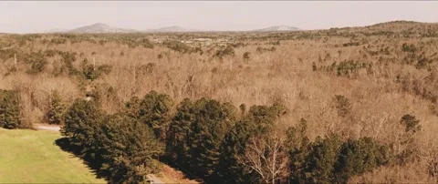Savannah Aerial View Stock Footage 155847882