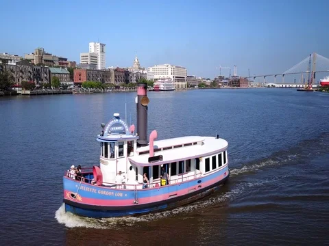 Savannah Bells Ferry 스톡 동영상 77803831