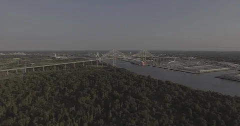 Savannah Bridge Push 库存影片 90068412