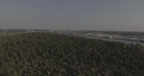 Savannah Bridge Wide Push 库存影片 90069703