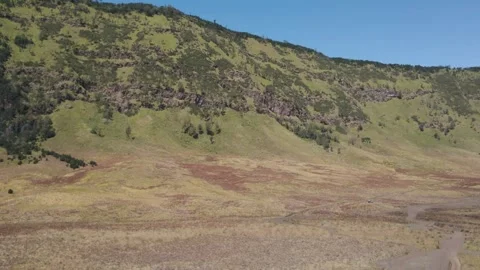 Savannah in Bromo Stock Footage 250480358