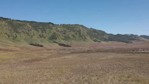 Savannah in Bromo Stock Footage 250480467