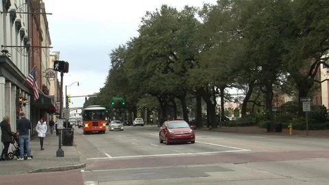 Savannah Bus Stock Footage 111341495