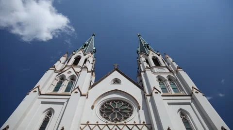Savannah Cathedral timelapse Vidéo 61175036