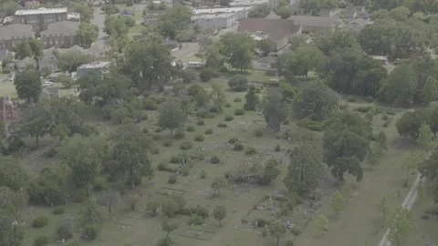 Savannah Cemetery Stock Footage 318381754