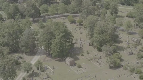 Savannah Cemetery Stock Footage 318381814
