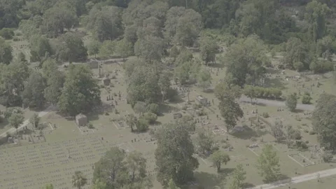 Savannah Cemetery Stock Footage 318381819