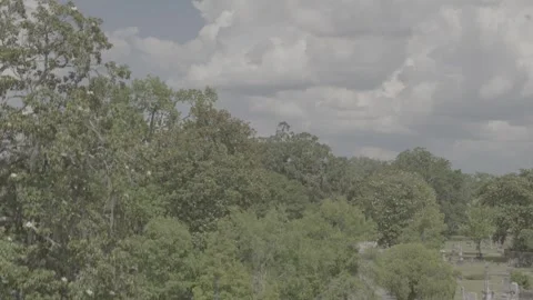 Savannah Cemetery Stock Footage 318381851