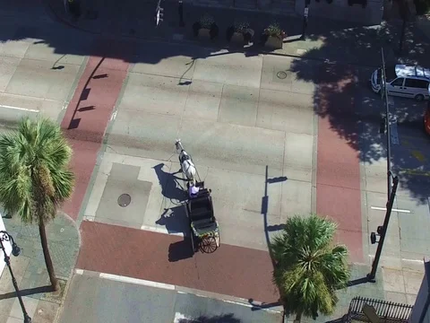 Savannah City Hall Vídeo Stock 77173741